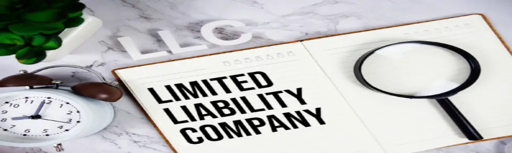 Limited Liability Company